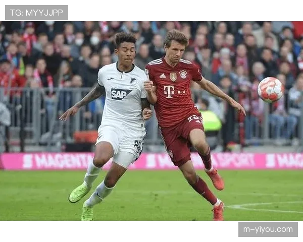 德国DEL联赛季后赛开打，卫冕冠军慕尼黑红牛首轮对阵柏林