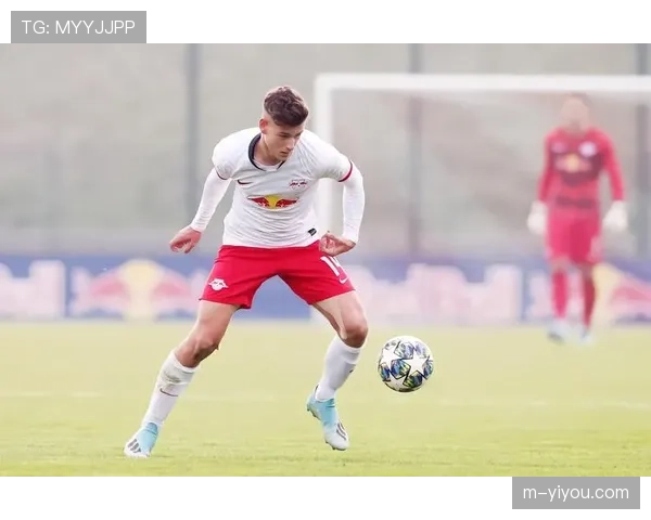 德甲青训体系：年轻球员培养与一线队衔接机制